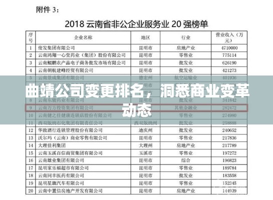 曲靖公司變更排名，洞悉商業(yè)變革動態(tài)