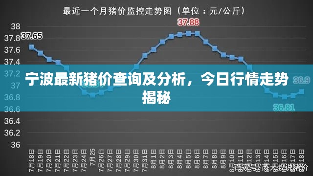 寧波最新豬價(jià)查詢(xún)及分析，今日行情走勢(shì)揭秘