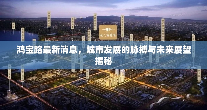 鴻寶路最新消息，城市發(fā)展的脈搏與未來展望揭秘