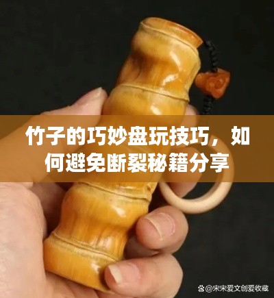 竹子的巧妙盤玩技巧，如何避免斷裂秘籍分享