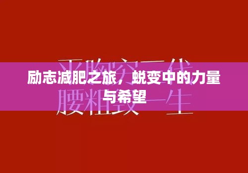 勵(lì)志減肥之旅，蛻變中的力量與希望
