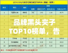 品牌黑頭夾子TOP10榜單，告別黑頭煩惱！