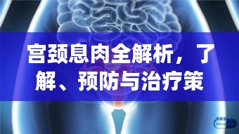 宮頸息肉全解析，了解、預(yù)防與治療策略