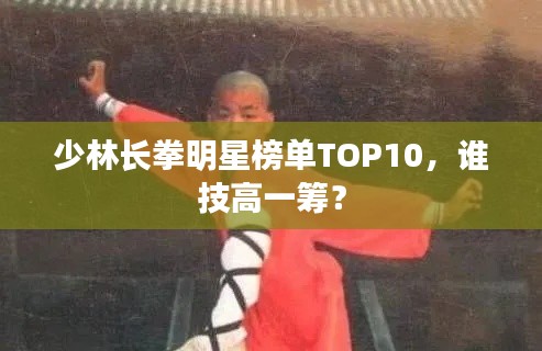 少林長拳明星榜單TOP10，誰技高一籌？