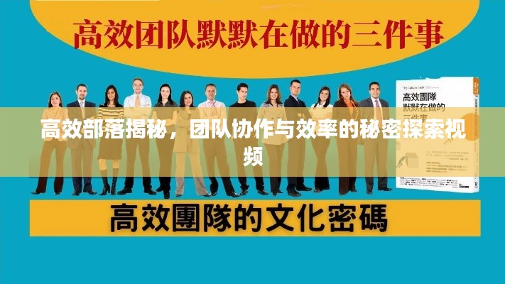 高效部落揭秘，團(tuán)隊(duì)協(xié)作與效率的秘密探索視頻