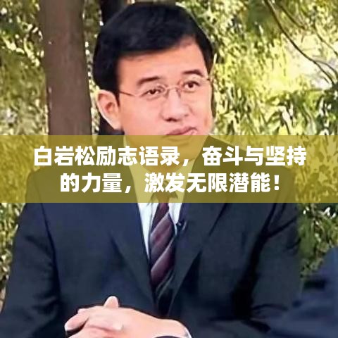 白巖松勵(lì)志語(yǔ)錄，奮斗與堅(jiān)持的力量，激發(fā)無(wú)限潛能！