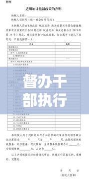 督辦干部執(zhí)行細(xì)則，推動工作落實的實操指南