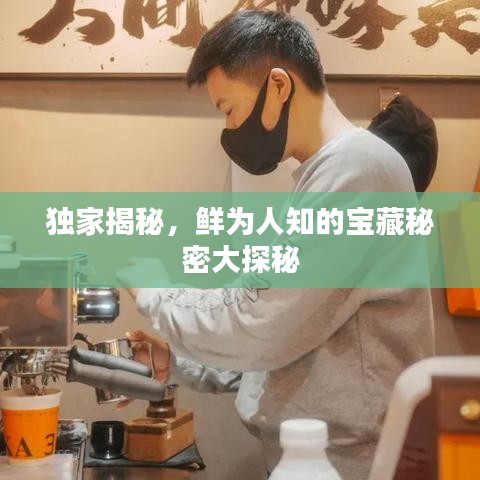 獨(dú)家揭秘，鮮為人知的寶藏秘密大探秘