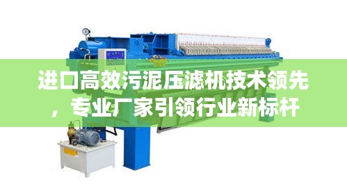進口高效污泥壓濾機技術領先，專業(yè)廠家引領行業(yè)新標桿