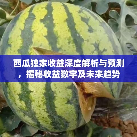 西瓜獨(dú)家收益深度解析與預(yù)測，揭秘收益數(shù)字及未來趨勢