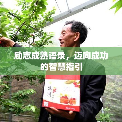 勵(lì)志成熟語(yǔ)錄，邁向成功的智慧指引