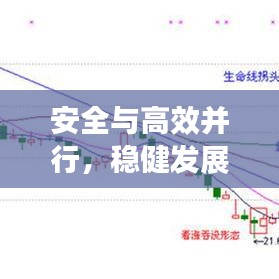安全與高效并行，穩(wěn)健發(fā)展典范展現(xiàn)
