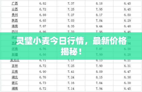 靈璧小麥今日行情，最新價(jià)格揭秘！