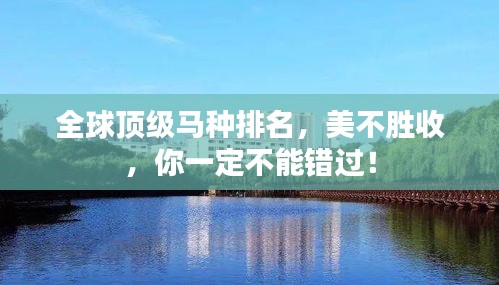 全球頂級(jí)馬種排名，美不勝收，你一定不能錯(cuò)過(guò)！