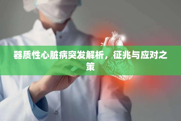 器質(zhì)性心臟病突發(fā)解析，征兆與應(yīng)對之策