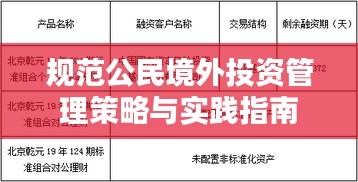 規(guī)范公民境外投資管理策略與實(shí)踐指南