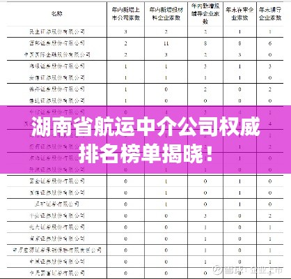 湖南省航運中介公司權威排名榜單揭曉！