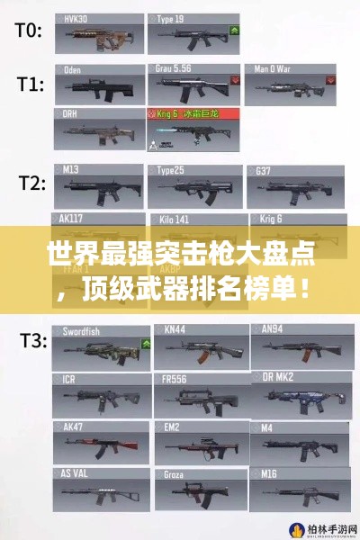 世界最強(qiáng)突擊槍大盤點(diǎn)，頂級武器排名榜單！