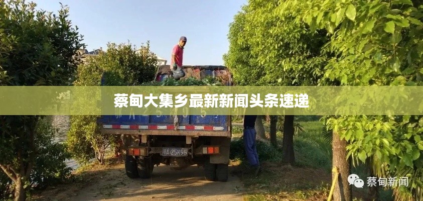 蔡甸大集鄉(xiāng)最新新聞?lì)^條速遞