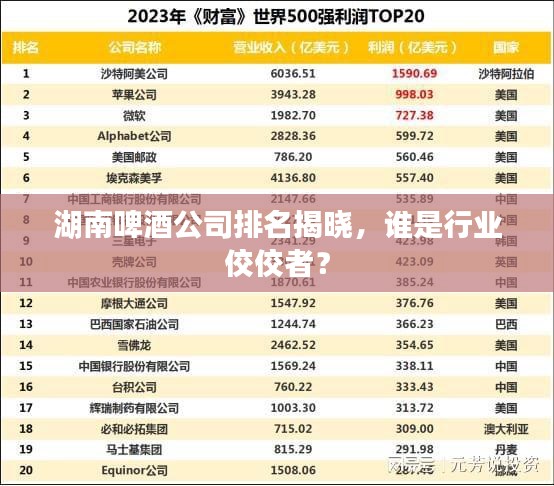 湖南啤酒公司排名揭曉，誰是行業(yè)佼佼者？