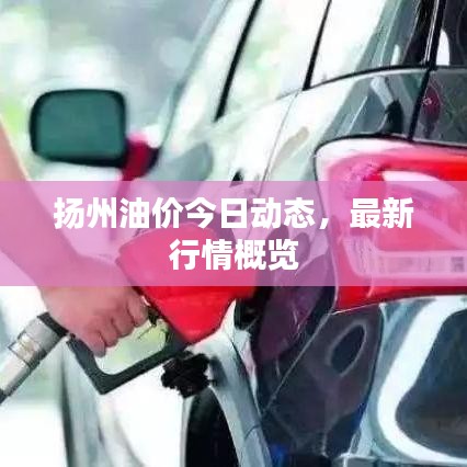 揚州油價今日動態(tài)，最新行情概覽