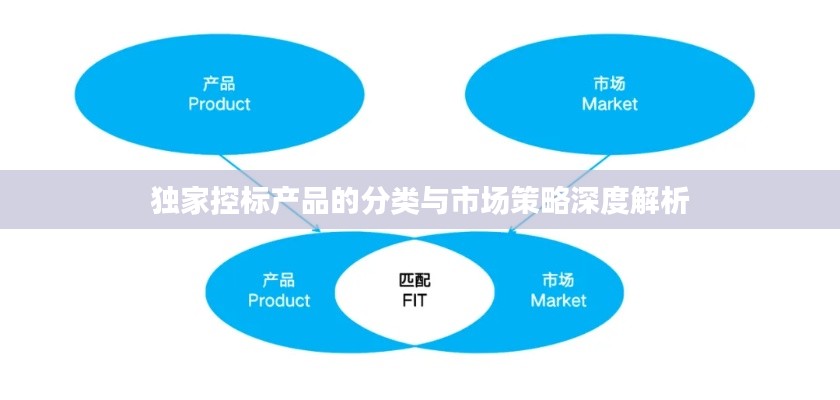 獨(dú)家控標(biāo)產(chǎn)品的分類與市場策略深度解析