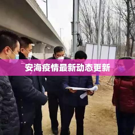 安海疫情最新動(dòng)態(tài)更新