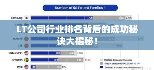 LT公司行業(yè)排名背后的成功秘訣大揭秘！