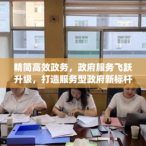 精簡高效政務(wù)，政府服務(wù)飛躍升級(jí)，打造服務(wù)型政府新標(biāo)桿