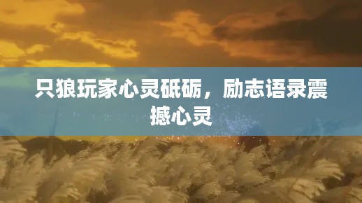 只狼玩家心靈砥礪，勵志語錄震撼心靈