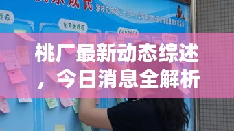 桃廠最新動(dòng)態(tài)綜述，今日消息全解析