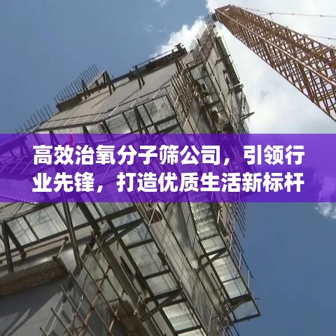 高效治氧分子篩公司，引領(lǐng)行業(yè)先鋒，打造優(yōu)質(zhì)生活新標(biāo)桿