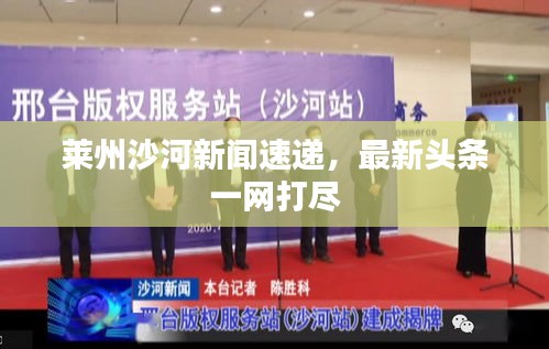 萊州沙河新聞速遞，最新頭條一網(wǎng)打盡