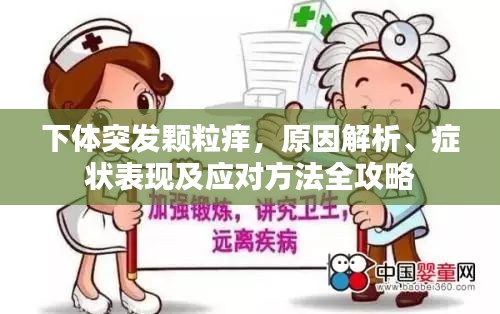 下體突發(fā)顆粒癢，原因解析、癥狀表現(xiàn)及應(yīng)對(duì)方法全攻略