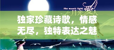 獨家珍藏詩歌，情感無盡，獨特表達之魅力