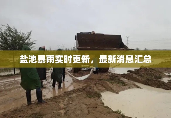 鹽池暴雨實(shí)時(shí)更新，最新消息匯總