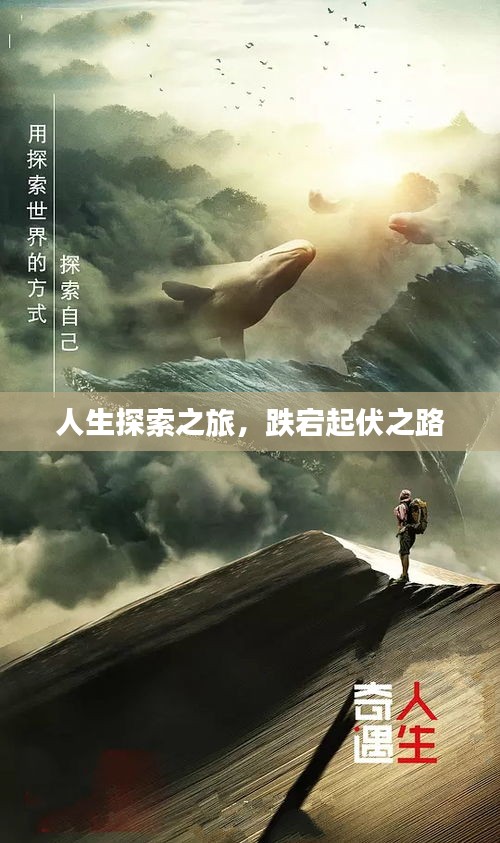 人生探索之旅，跌宕起伏之路
