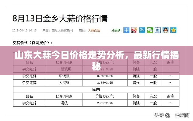 山東大蒜今日價格走勢分析，最新行情揭秘