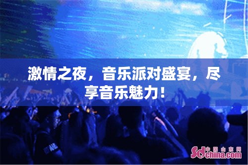 激情之夜，音樂派對盛宴，盡享音樂魅力！