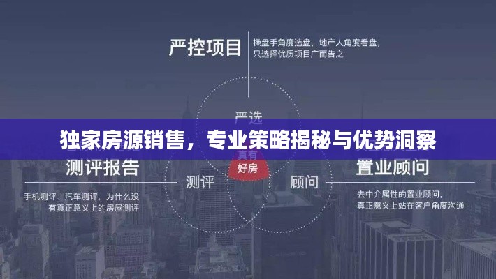獨家房源銷售，專業(yè)策略揭秘與優(yōu)勢洞察