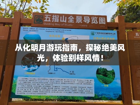 從化明月游玩指南，探秘絕美風(fēng)光，體驗(yàn)別樣風(fēng)情！
