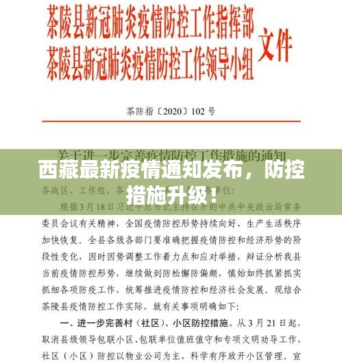 西藏最新疫情通知發(fā)布，防控措施升級！