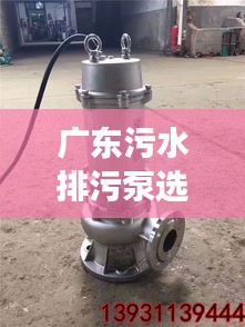 廣東污水排污泵選型指南，規(guī)范選購，高效排水