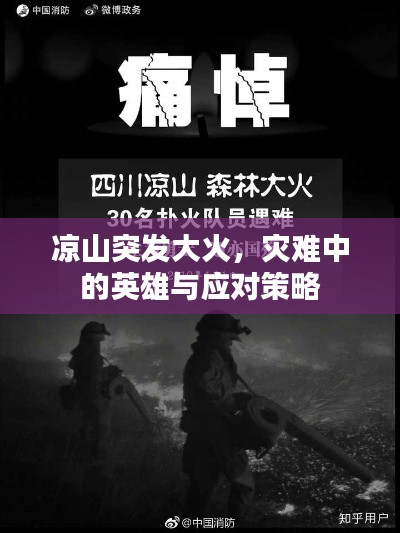 涼山突發(fā)大火，災(zāi)難中的英雄與應(yīng)對策略