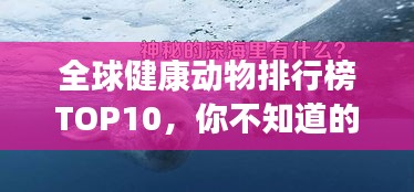全球健康動物排行榜TOP10，你不知道的神奇生物！