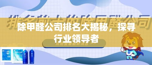 除甲醛公司排名大揭秘，探尋行業(yè)領(lǐng)導(dǎo)者