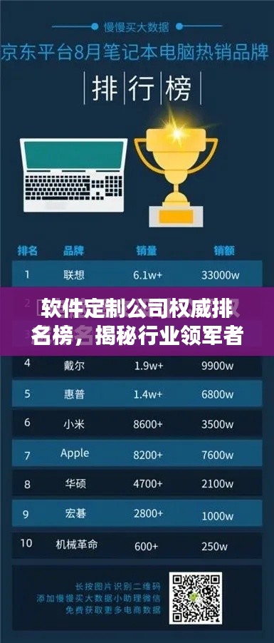 軟件定制公司權(quán)威排名榜，揭秘行業(yè)領(lǐng)軍者的秘密！