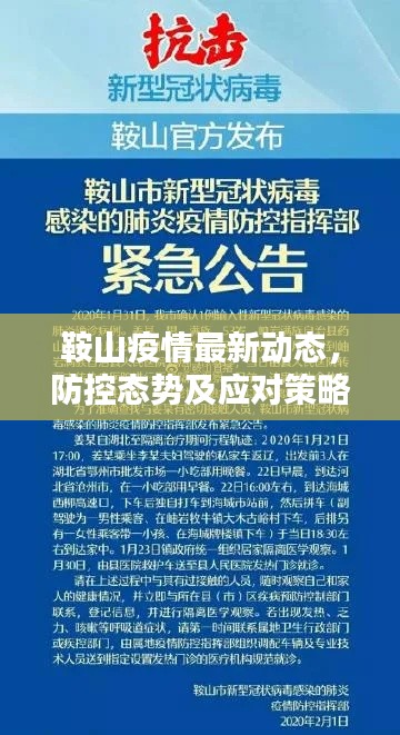 鞍山疫情最新動(dòng)態(tài)，防控態(tài)勢(shì)及應(yīng)對(duì)策略揭秘