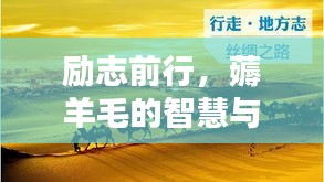 勵(lì)志前行，薅羊毛的智慧與行動(dòng)